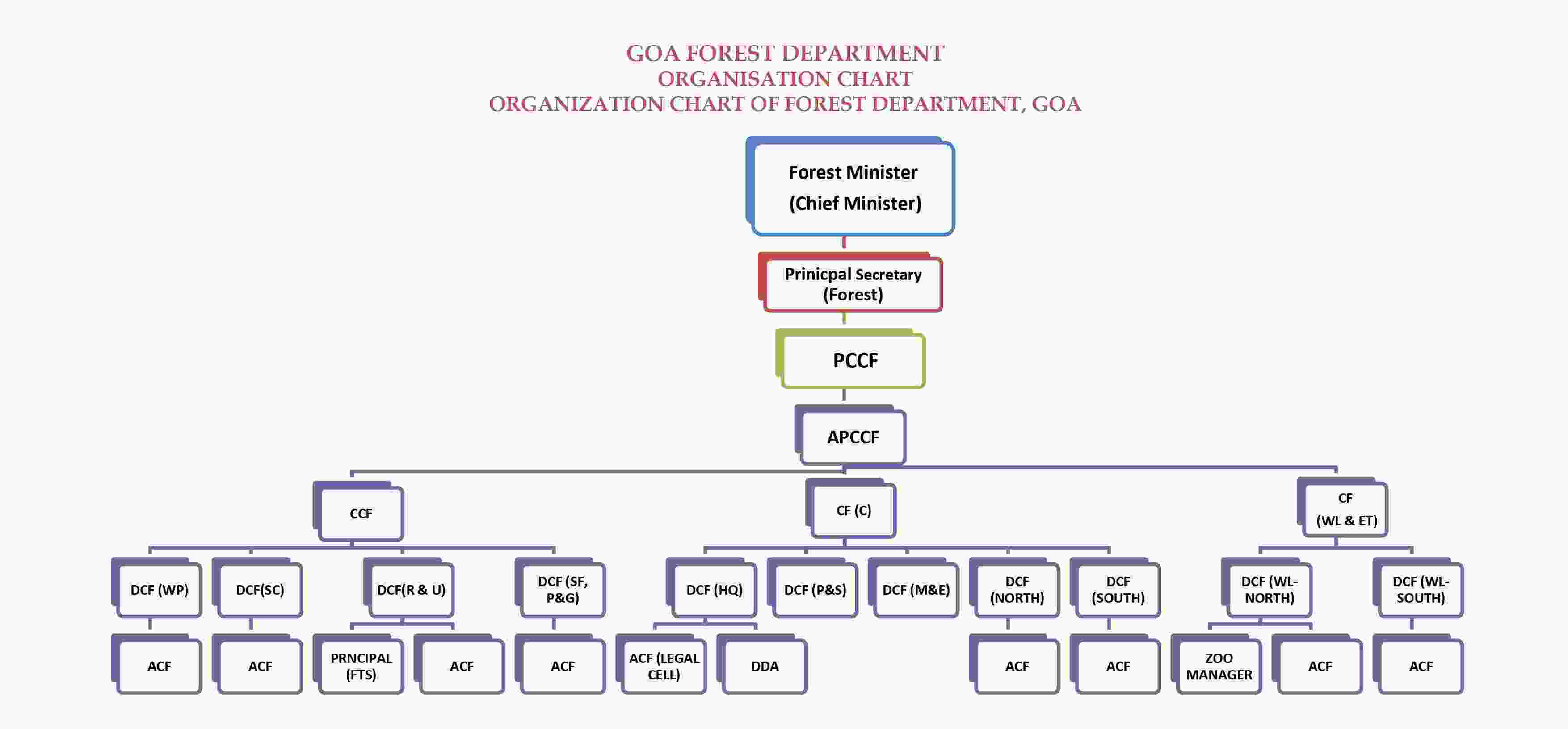 org-chart