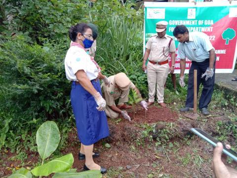 Vanamostav celebration in Don Bosco Farm High school at Sulcorna Quepem Goa