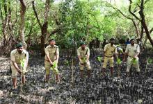 Salim Ali Bird Sanctuary