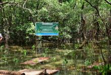 Salim Ali Bird Sanctuary